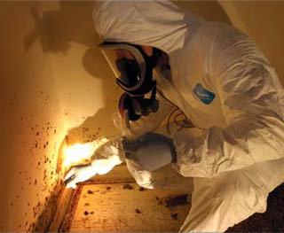 mold-tech1 mold-tech1