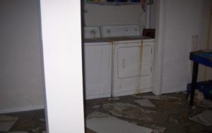 Basement Flood Cleanup in Cecilton, MD (990)
