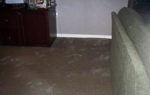 Basement Flood Cleanup in Hampton, MD (3346)