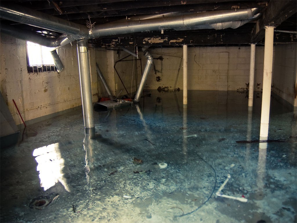 Flooded Basement Cleanup in Rosedale, MD (7885)