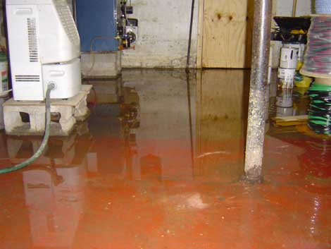 Basement Flood Cleanup in Perry Hall, MD (1586)