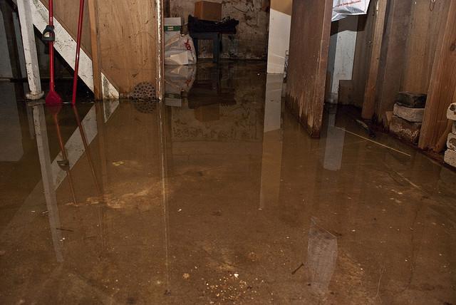 Flooded Basement Cleanup in Hampton, MD (9935)