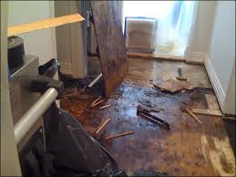 Water Damage Cleanup in Bel Air South, MD (2010)