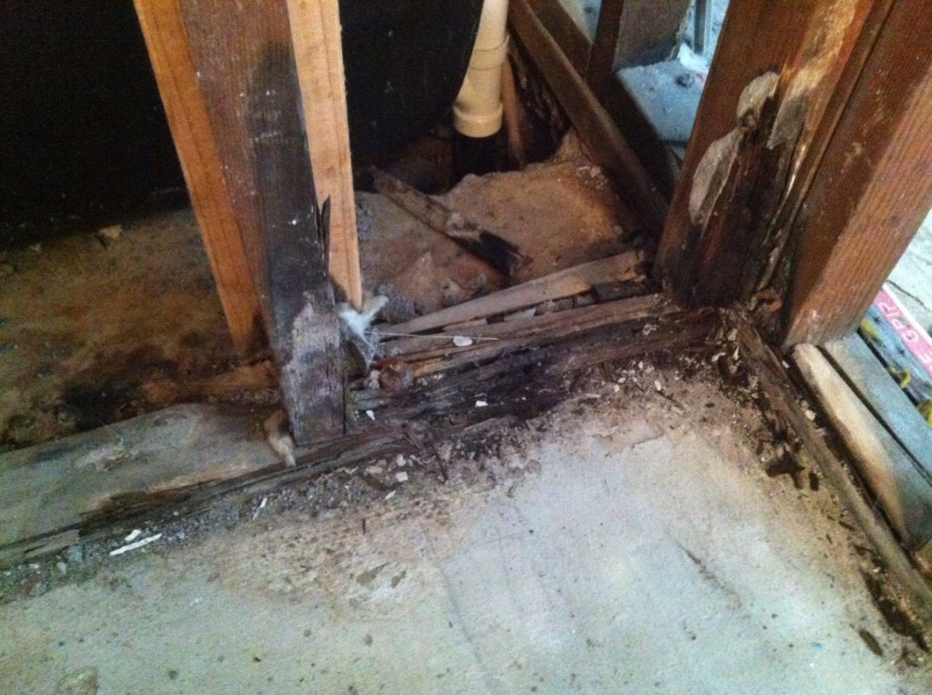 Water Damage Restoration in Towson, MD (5432)