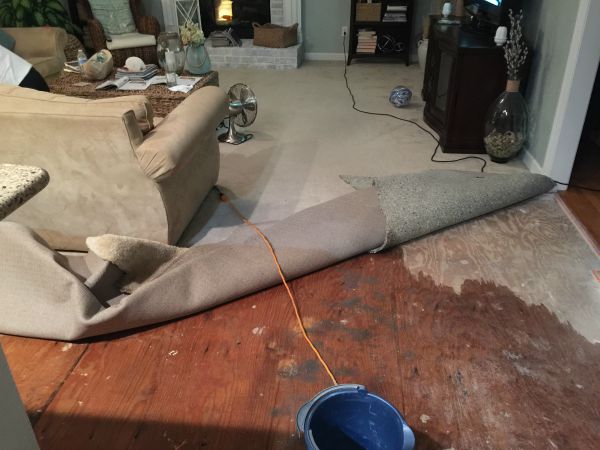 Flood Damage Cleanup in Catonsville, MD (9139)
