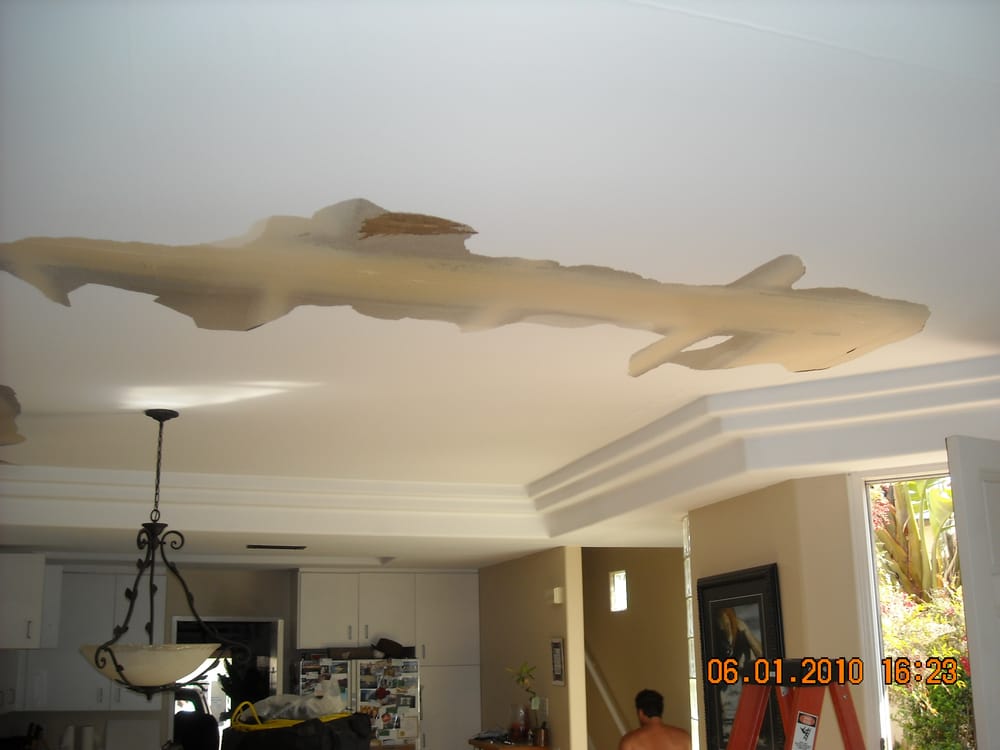 Water Damage Cleanup in Fallston, MD (5870)