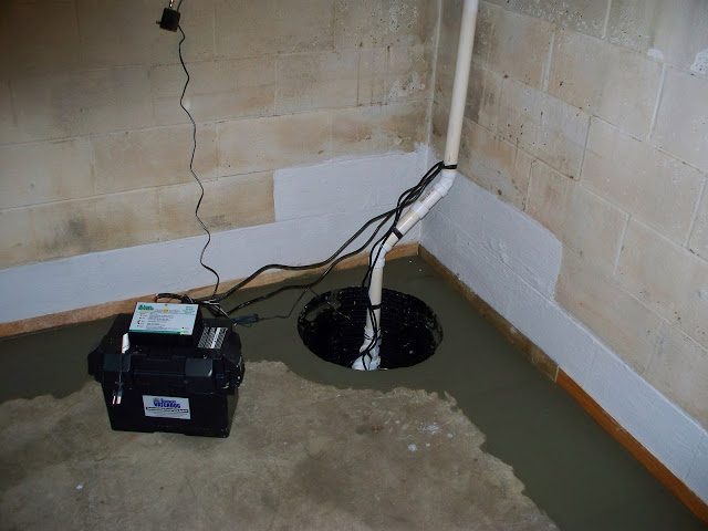 Basement Flood Cleanup in Hampton, MD (4473)