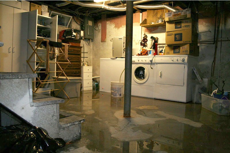 Basement Flood Cleanup in North East, MD (6525)