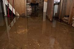 Basement Flood Cleanup in Cockeysville, MD (3846)